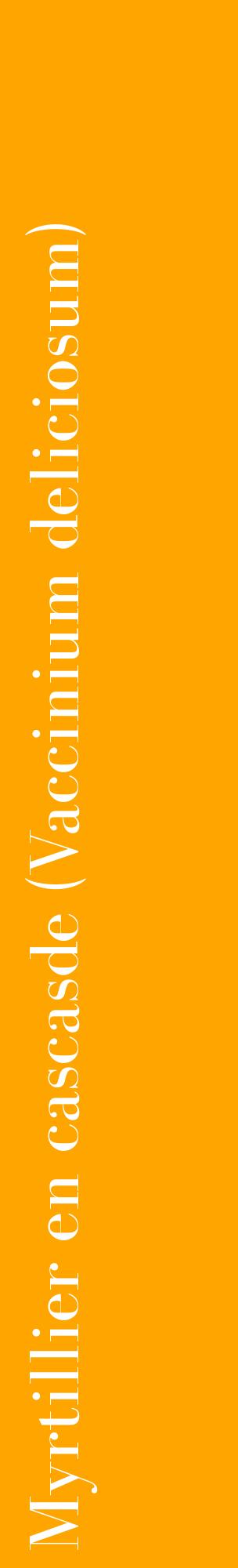 Étiquette de : Vaccinium deliciosum - format c - style blanche22_basiquebod avec comestibilité