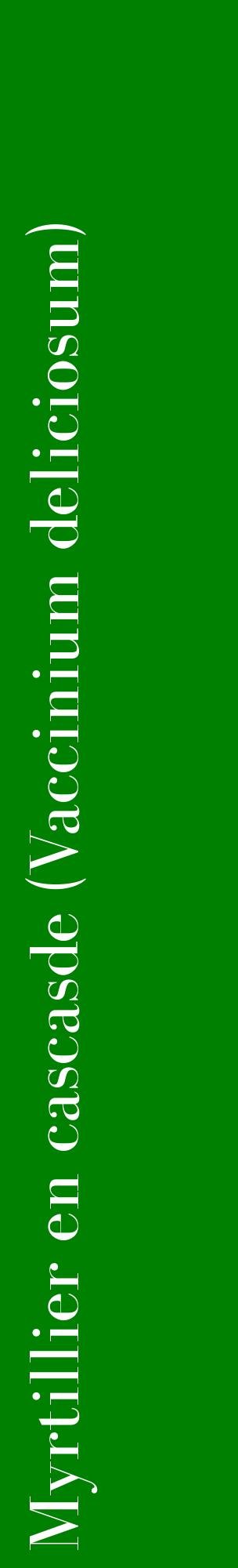 Étiquette de : Vaccinium deliciosum - format c - style blanche9_basiquebod avec comestibilité