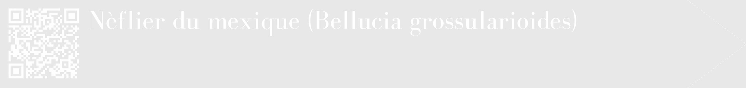 Étiquette de : Bellucia grossularioides - format c - style blanche55_simple_simplebod avec qrcode et comestibilité