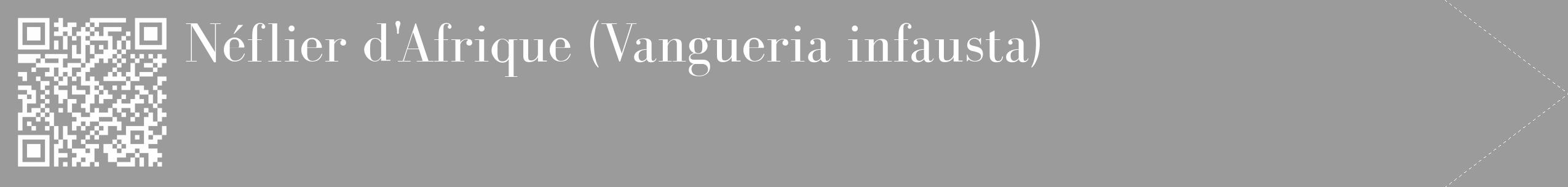 Étiquette de : Vangueria infausta - format c - style blanche52_simple_simplebod avec qrcode et comestibilité