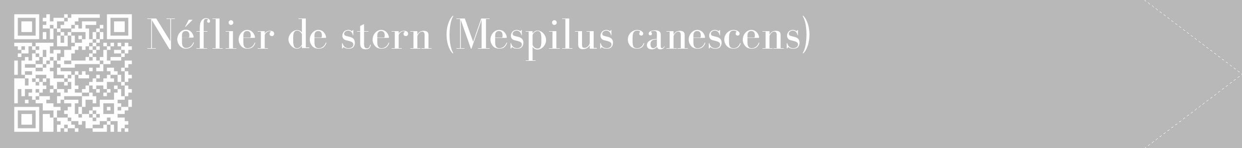 Étiquette de : Mespilus canescens - format c - style blanche39_simple_simplebod avec qrcode et comestibilité