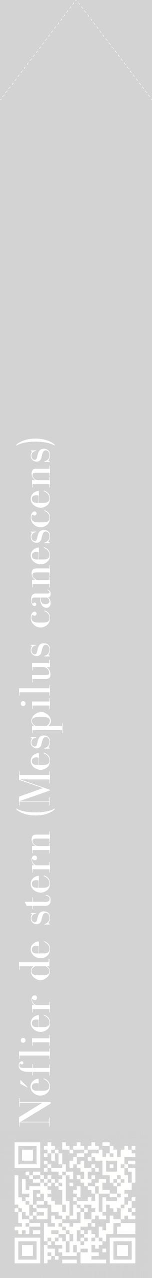 Étiquette de : Mespilus canescens - format c - style blanche56_simplebod avec qrcode et comestibilité