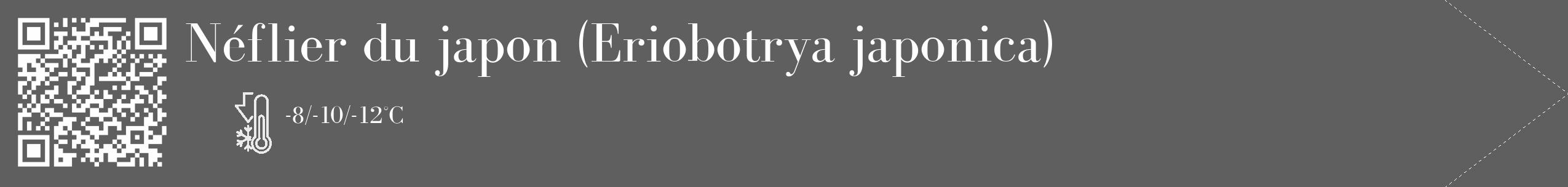 Étiquette de : Eriobotrya japonica - format c - style blanche10_simple_simplebod avec qrcode et comestibilité