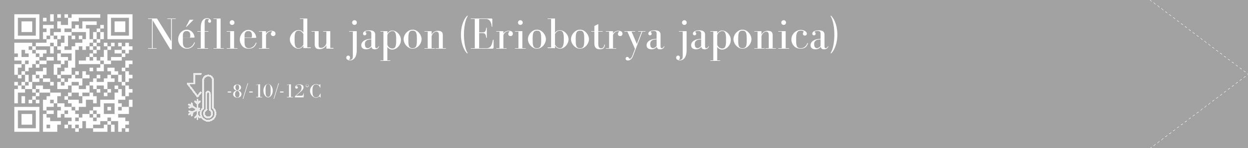 Étiquette de : Eriobotrya japonica - format c - style blanche38_simple_simplebod avec qrcode et comestibilité