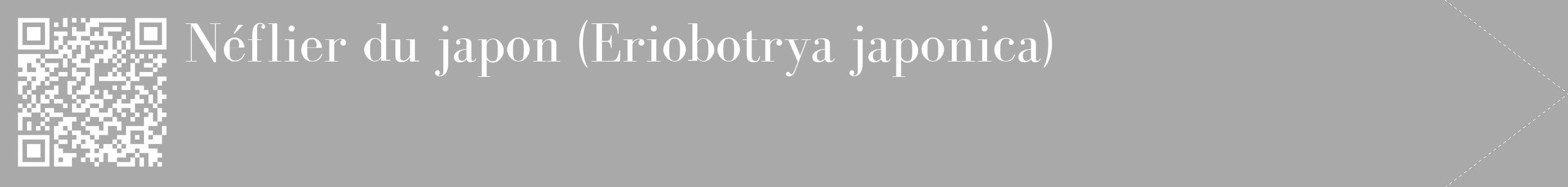 Étiquette de : Eriobotrya japonica - format c - style blanche13_simple_simplebod avec qrcode et comestibilité