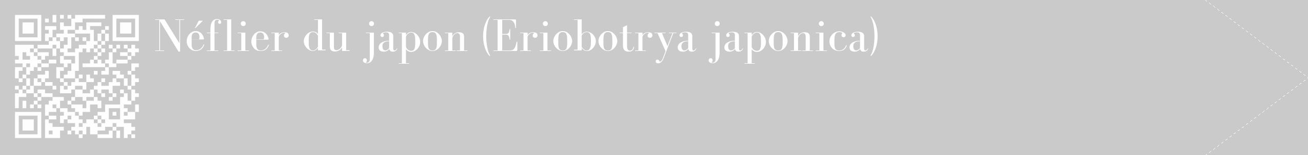 Étiquette de : Eriobotrya japonica - format c - style blanche21_simple_simplebod avec qrcode et comestibilité