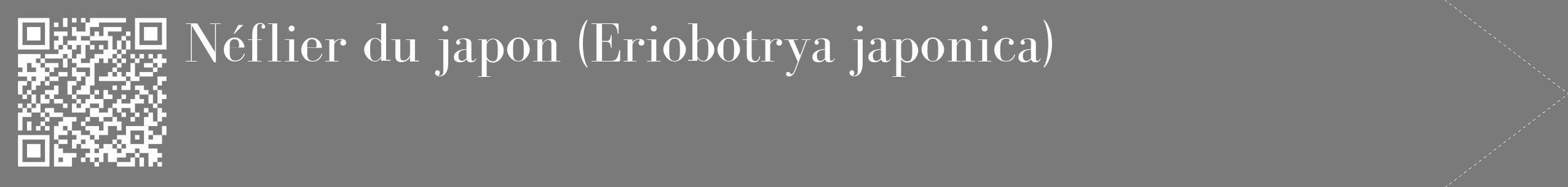 Étiquette de : Eriobotrya japonica - format c - style blanche3_simple_simplebod avec qrcode et comestibilité