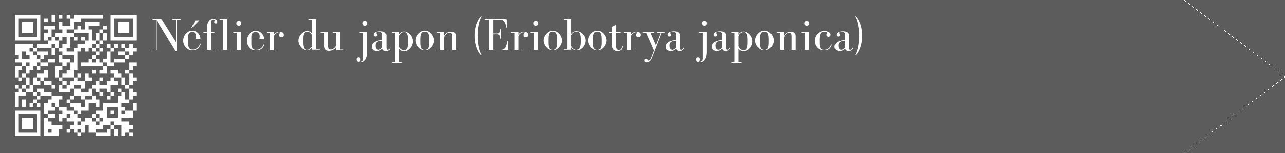 Étiquette de : Eriobotrya japonica - format c - style blanche49_simple_simplebod avec qrcode et comestibilité
