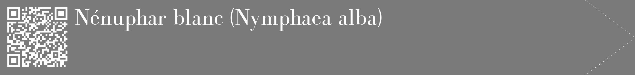 Étiquette de : Nymphaea alba - format c - style blanche3_simple_simplebod avec qrcode et comestibilité