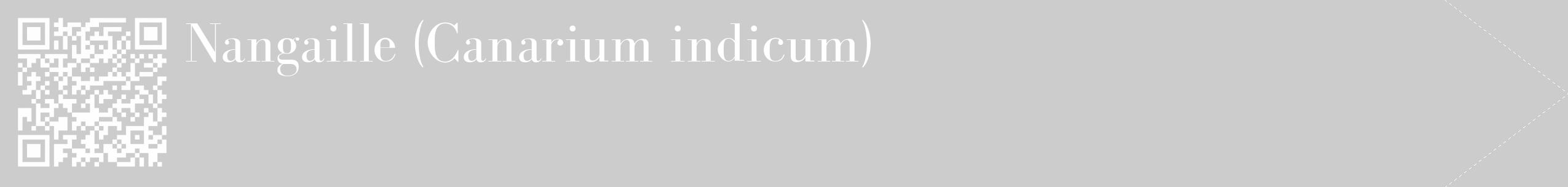 Étiquette de : Canarium indicum - format c - style blanche0_simple_simplebod avec qrcode et comestibilité