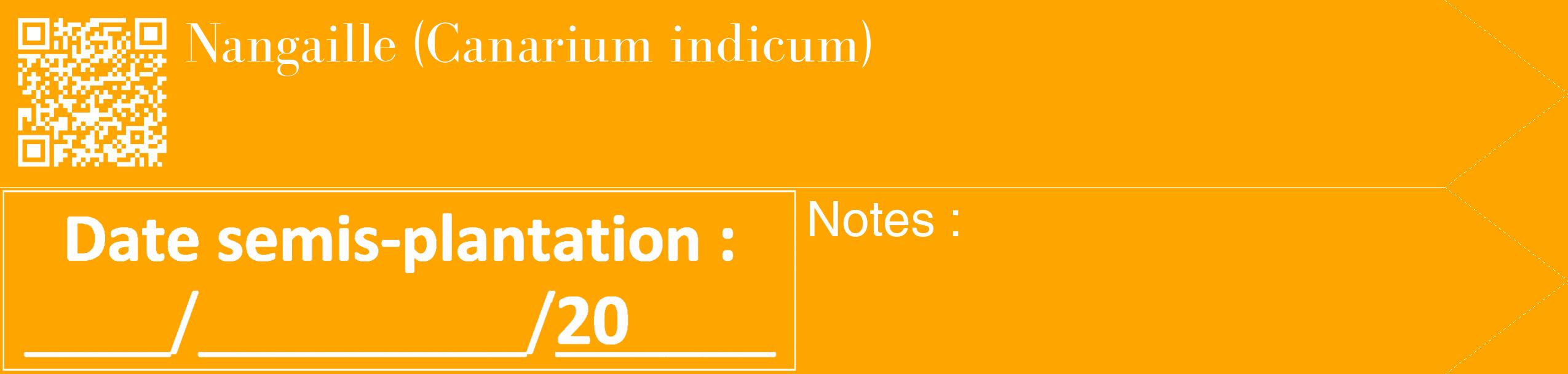 Étiquette de : Canarium indicum - format c - style blanche22_simple_simplebod avec qrcode et comestibilité