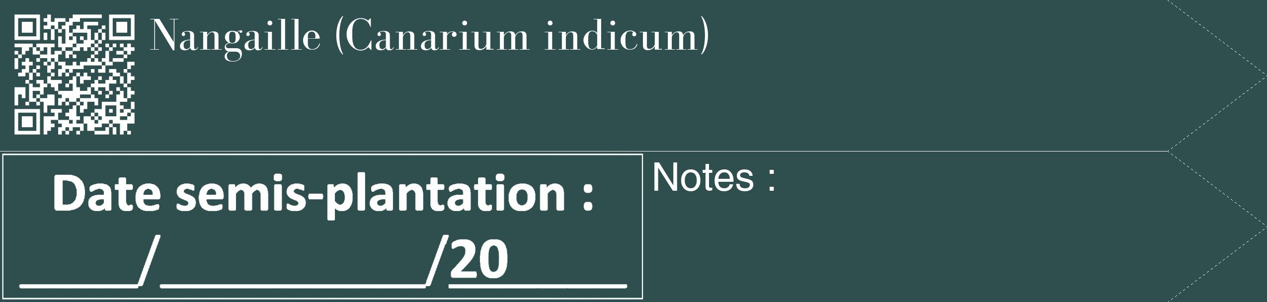 Étiquette de : Canarium indicum - format c - style blanche58_simple_simplebod avec qrcode et comestibilité