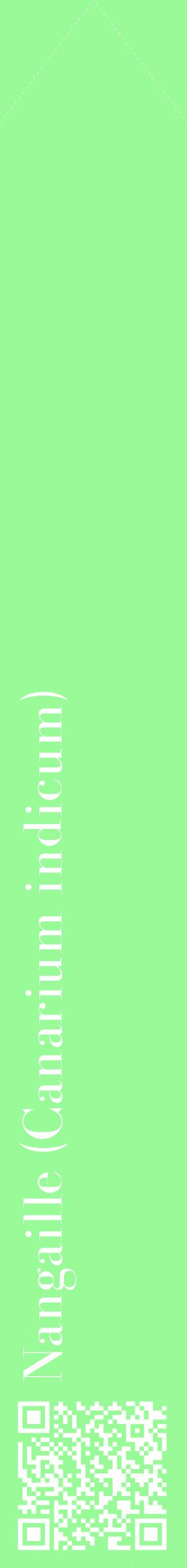 Étiquette de : Canarium indicum - format c - style blanche14_simplebod avec qrcode et comestibilité