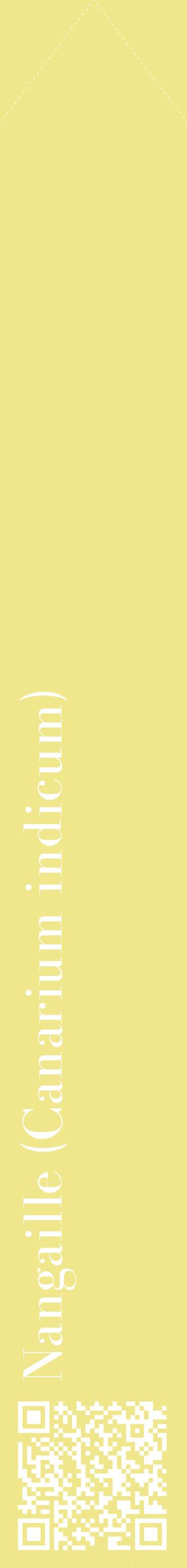 Étiquette de : Canarium indicum - format c - style blanche20_simplebod avec qrcode et comestibilité