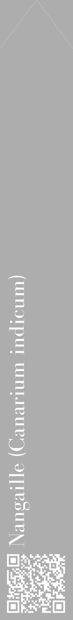 Étiquette de : Canarium indicum - format c - style blanche22_simple_simplebod avec qrcode et comestibilité - position verticale