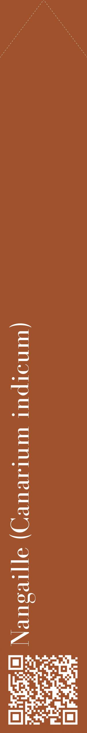Étiquette de : Canarium indicum - format c - style blanche32_simplebod avec qrcode et comestibilité