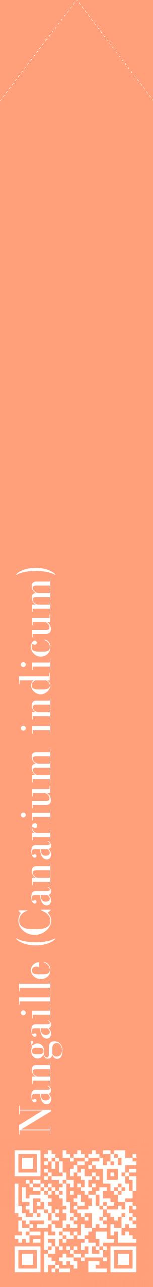 Étiquette de : Canarium indicum - format c - style blanche39_simplebod avec qrcode et comestibilité