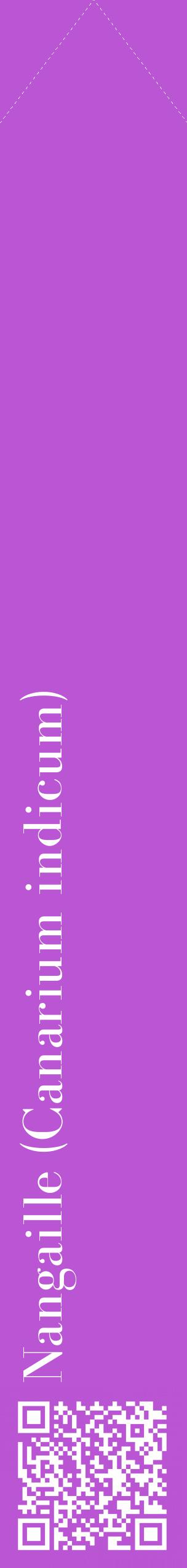 Étiquette de : Canarium indicum - format c - style blanche50_simplebod avec qrcode et comestibilité