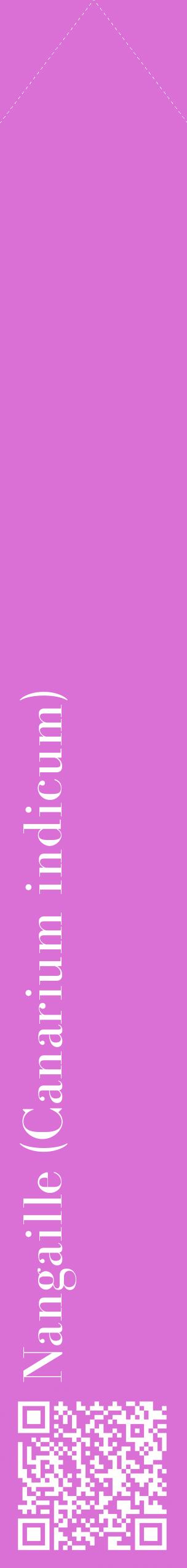 Étiquette de : Canarium indicum - format c - style blanche52_simplebod avec qrcode et comestibilité
