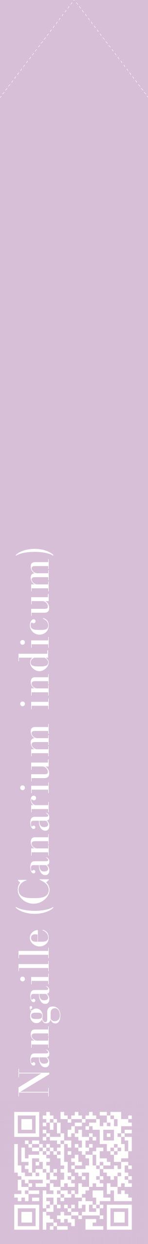 Étiquette de : Canarium indicum - format c - style blanche54_simplebod avec qrcode et comestibilité