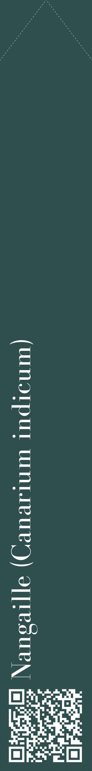 Étiquette de : Canarium indicum - format c - style blanche58_simplebod avec qrcode et comestibilité