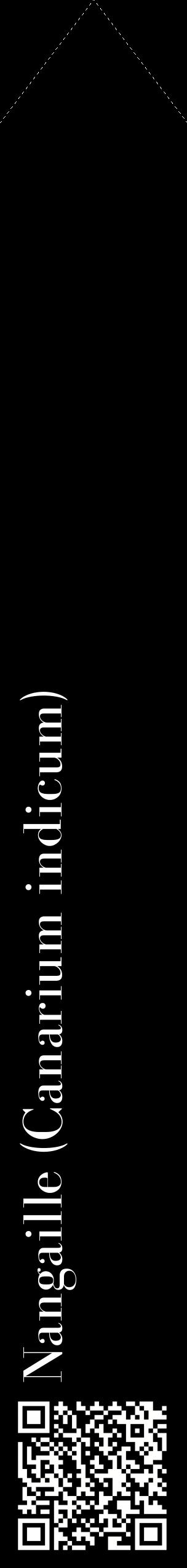 Étiquette de : Canarium indicum - format c - style blanche59_simplebod avec qrcode et comestibilité