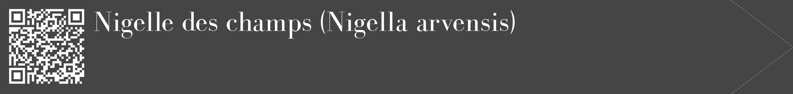 Étiquette de : Nigella arvensis - format c - style blanche58_simple_simplebod avec qrcode et comestibilité