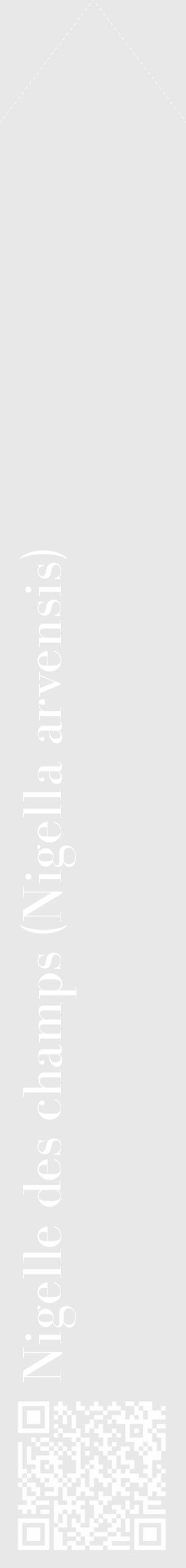 Étiquette de : Nigella arvensis - format c - style blanche55_simple_simplebod avec qrcode et comestibilité - position verticale
