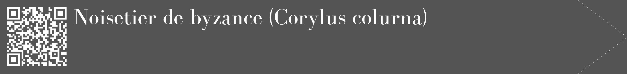 Étiquette de : Corylus colurna - format c - style blanche30_simple_simplebod avec qrcode et comestibilité