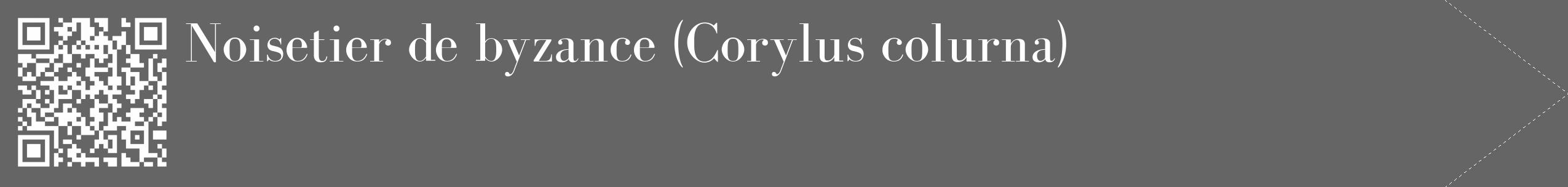 Étiquette de : Corylus colurna - format c - style blanche32_simple_simplebod avec qrcode et comestibilité