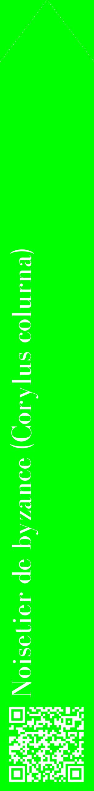 Étiquette de : Corylus colurna - format c - style blanche16_simplebod avec qrcode et comestibilité