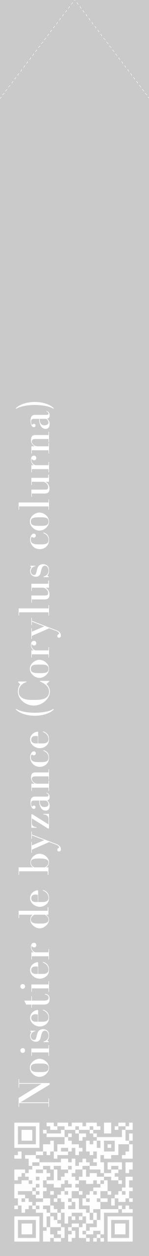 Étiquette de : Corylus colurna - format c - style blanche21_simple_simplebod avec qrcode et comestibilité - position verticale
