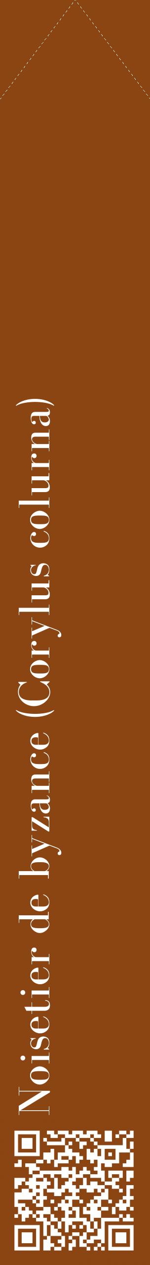 Étiquette de : Corylus colurna - format c - style blanche30_simplebod avec qrcode et comestibilité