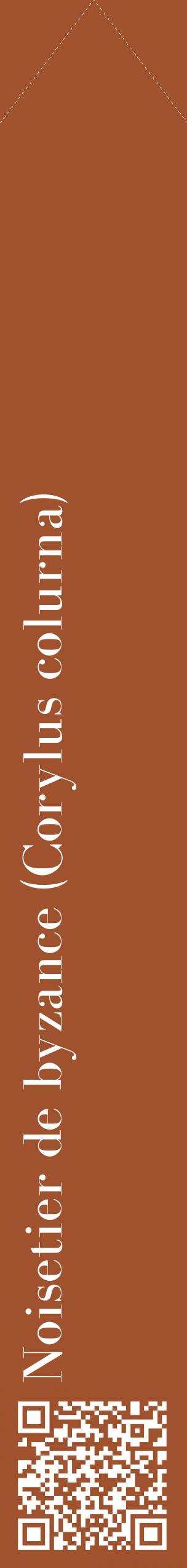 Étiquette de : Corylus colurna - format c - style blanche32_simplebod avec qrcode et comestibilité
