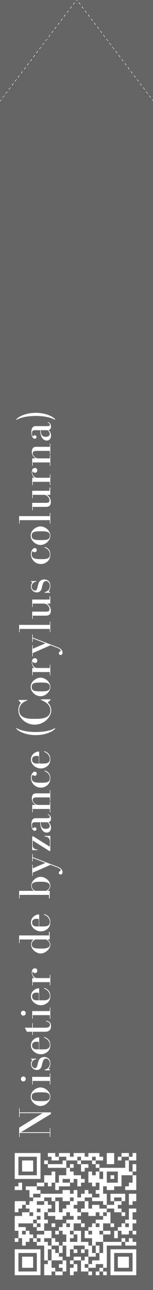 Étiquette de : Corylus colurna - format c - style blanche32_simple_simplebod avec qrcode et comestibilité - position verticale
