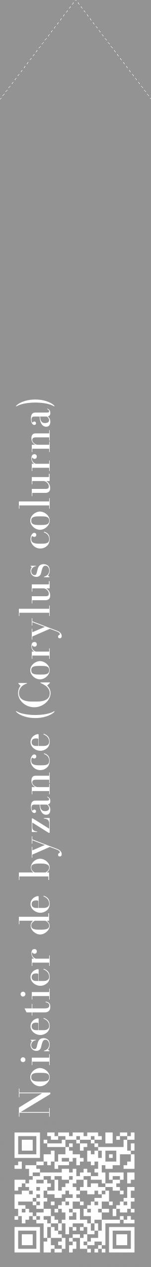 Étiquette de : Corylus colurna - format c - style blanche44_simple_simplebod avec qrcode et comestibilité - position verticale