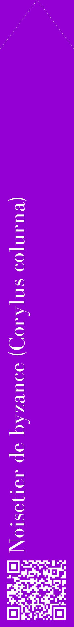 Étiquette de : Corylus colurna - format c - style blanche48_simplebod avec qrcode et comestibilité