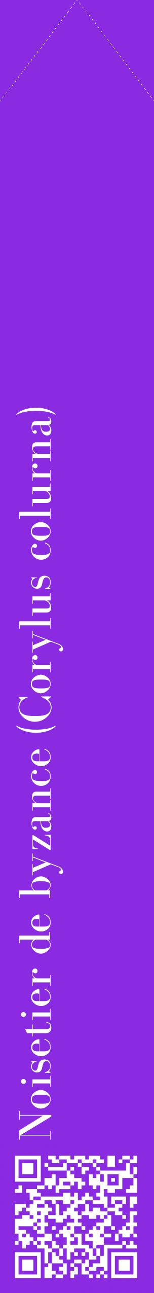 Étiquette de : Corylus colurna - format c - style blanche49_simplebod avec qrcode et comestibilité