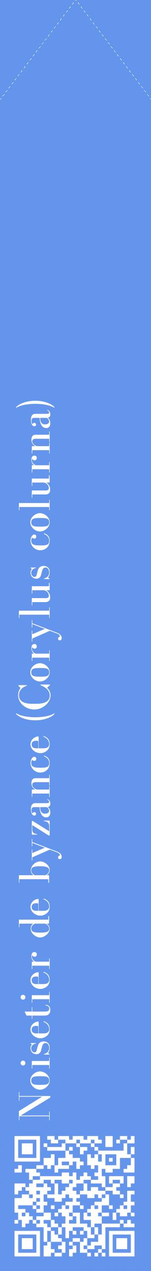 Étiquette de : Corylus colurna - format c - style blanche4_simplebod avec qrcode et comestibilité