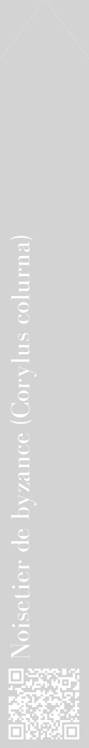 Étiquette de : Corylus colurna - format c - style blanche56_simplebod avec qrcode et comestibilité