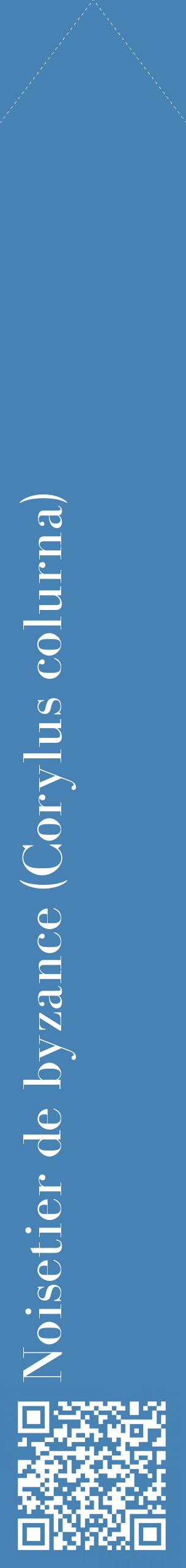Étiquette de : Corylus colurna - format c - style blanche5_simplebod avec qrcode et comestibilité