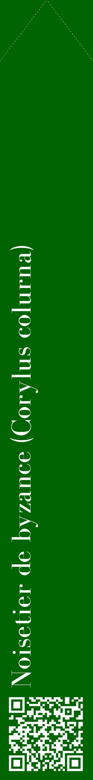 Étiquette de : Corylus colurna - format c - style blanche8_simplebod avec qrcode et comestibilité