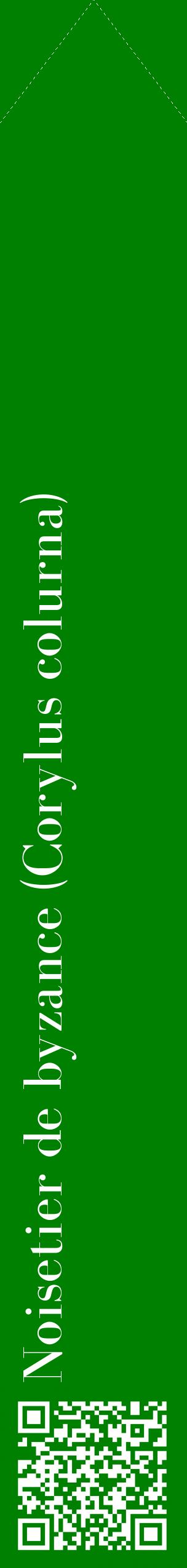 Étiquette de : Corylus colurna - format c - style blanche9_simplebod avec qrcode et comestibilité