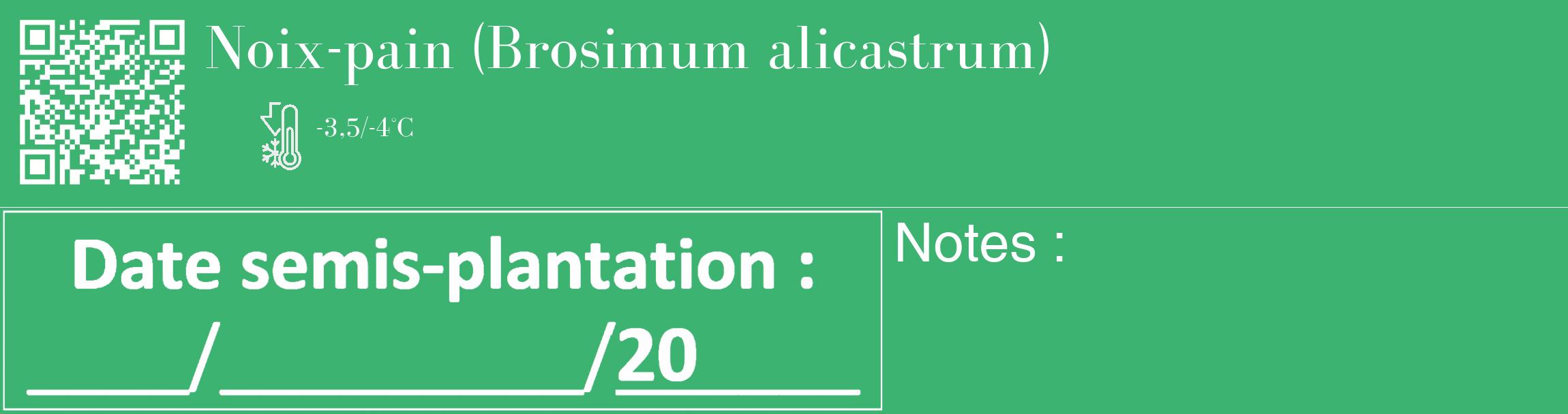 Étiquette de : Brosimum alicastrum - format c - style blanche12_basique_basiquebod avec qrcode et comestibilité