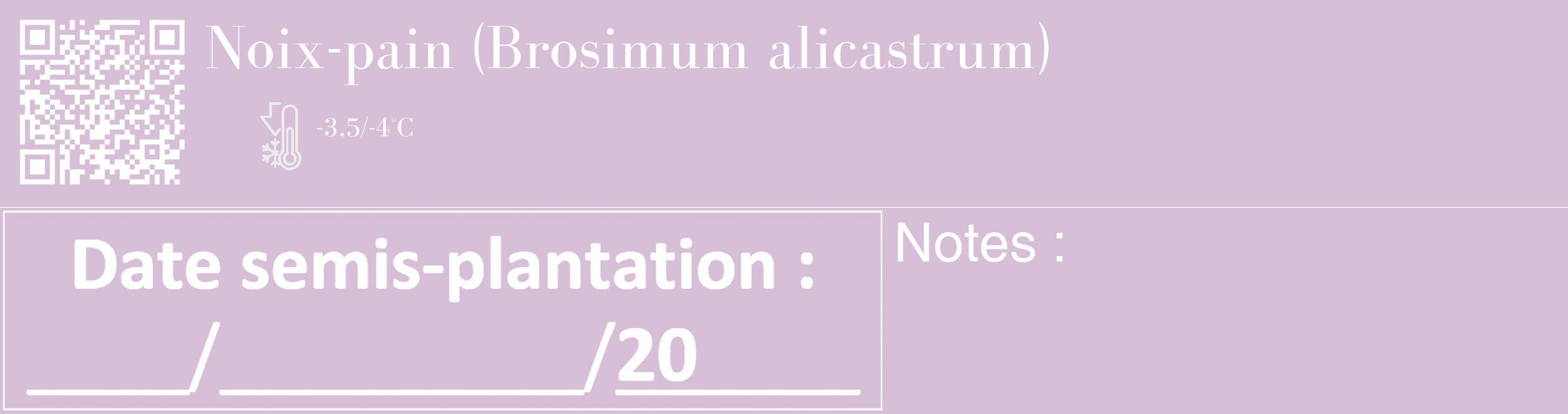 Étiquette de : Brosimum alicastrum - format c - style blanche54_basique_basiquebod avec qrcode et comestibilité