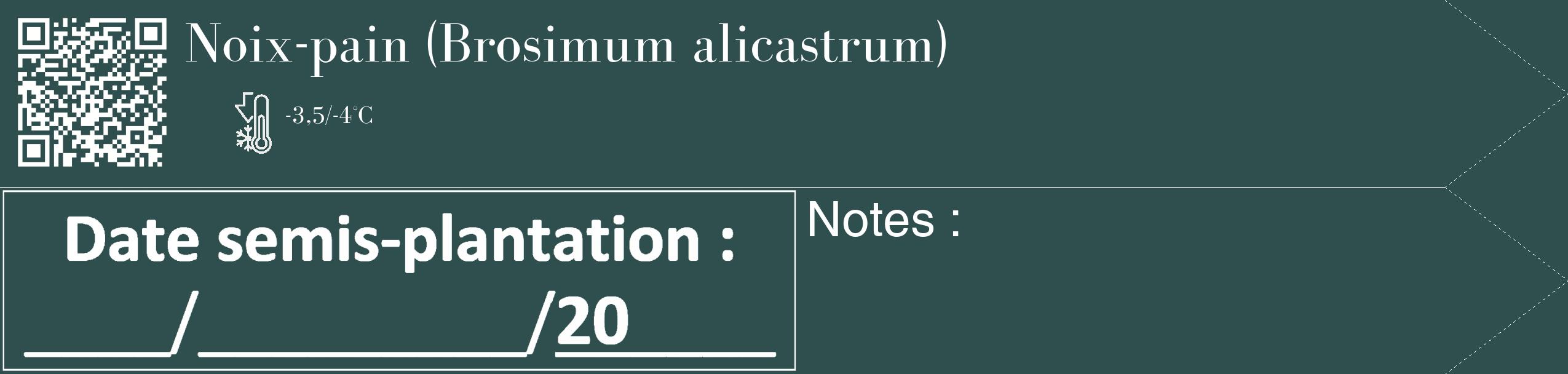 Étiquette de : Brosimum alicastrum - format c - style blanche58_simple_simplebod avec qrcode et comestibilité