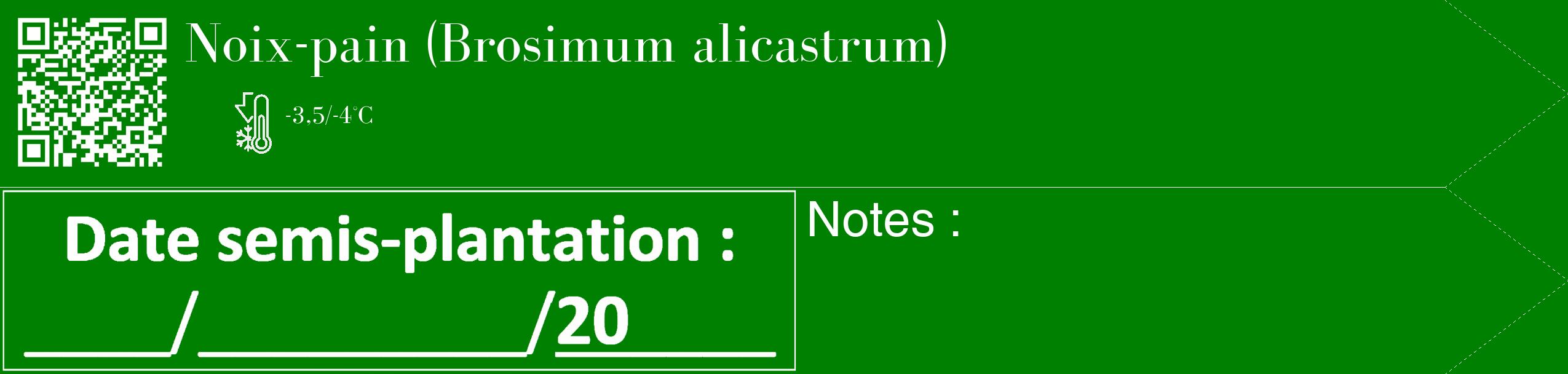 Étiquette de : Brosimum alicastrum - format c - style blanche9_simple_simplebod avec qrcode et comestibilité