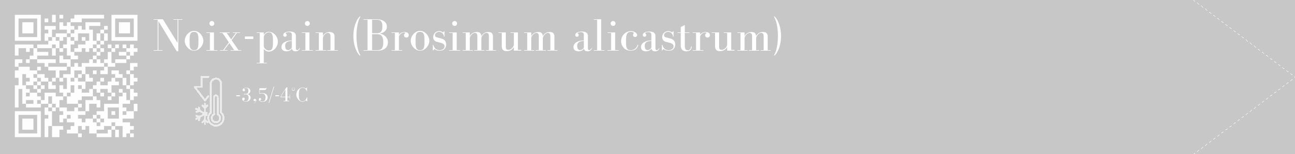 Étiquette de : Brosimum alicastrum - format c - style blanche15_simple_simplebod avec qrcode et comestibilité