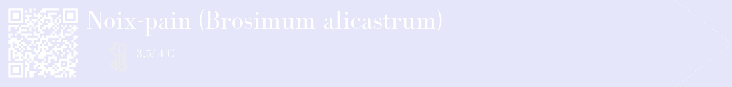 Étiquette de : Brosimum alicastrum - format c - style blanche55_simple_simplebod avec qrcode et comestibilité