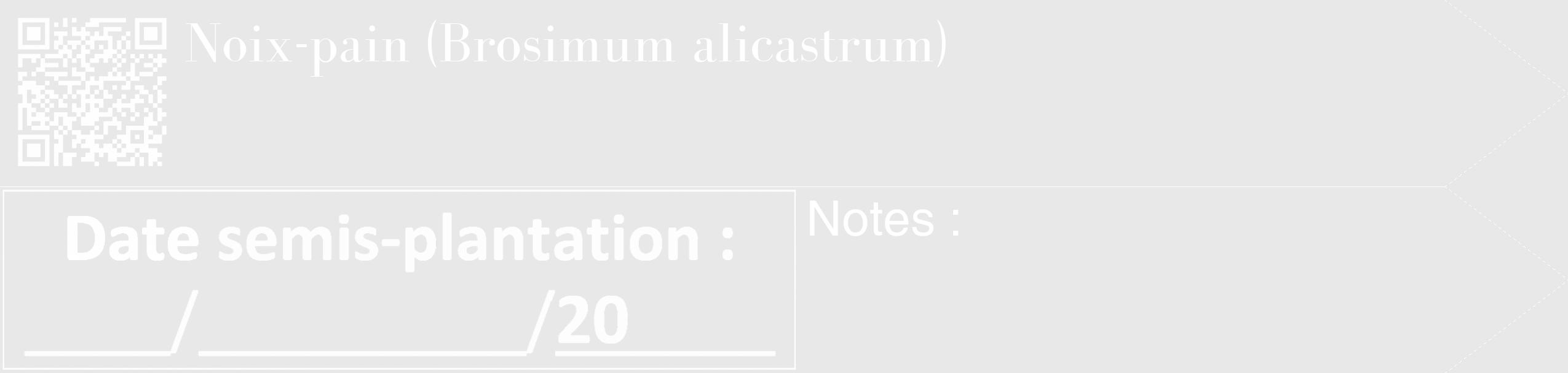 Étiquette de : Brosimum alicastrum - format c - style blanche55_simple_simplebod avec qrcode et comestibilité